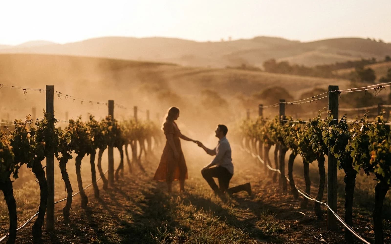 Vineyard proposal at golden hour in a Queensland hinterland winery